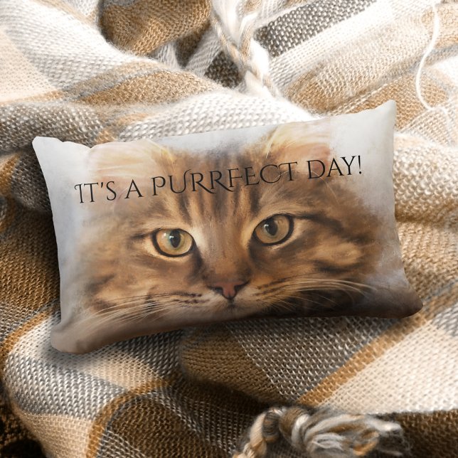 Purfect Tabby Maine Coon Katzenkissen Lendenkissen (A lovely pillow featuring a painting of a tabby Maine Coon cat and your custom text)