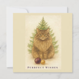 Purfect Wish - Cat Christmas - Maine Coon Cat Feiertagskarte