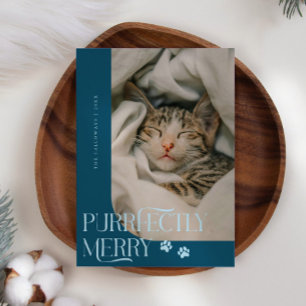 Purfekt Merry Cat Foto Aquamarin Weihnachten