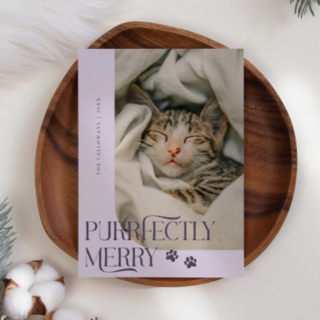 Purfekt Merry Cat Foto Lila Weihnachten (Von Creator hochgeladen)