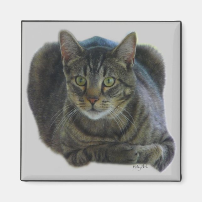 Purfekter Magnet (Vorne)