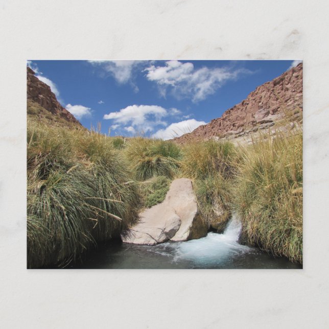 Puritama Hot Springs, Atacama Wüste, Chile Postkarte (Vorderseite)