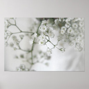 Purity Canvas Print Poster