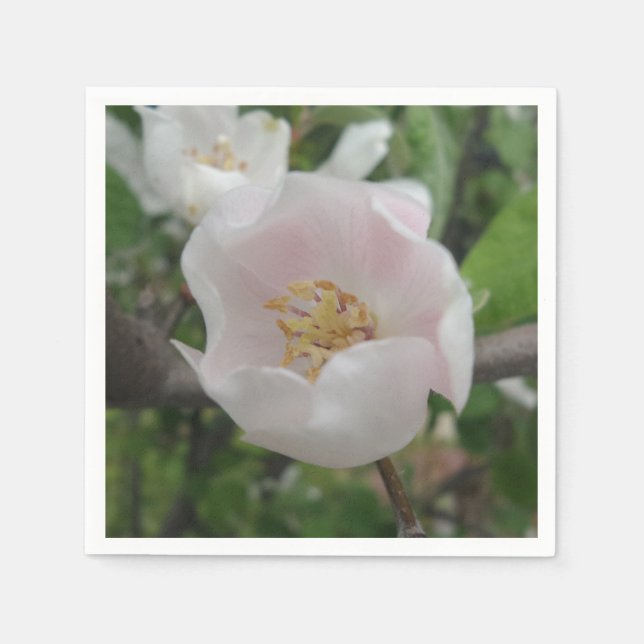 Purity Cocktail Paper Napkins Serviette (Vorderseite)