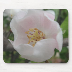 Purity Mousepad