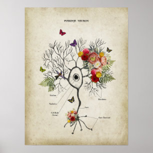 Purkinje Cell Neuron Anatomie mit Blume Poster