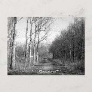 Purmerend Netherlands Postcard Postkarte