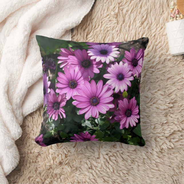 Purple African Daisy Flowers  Kissen (Decke)
