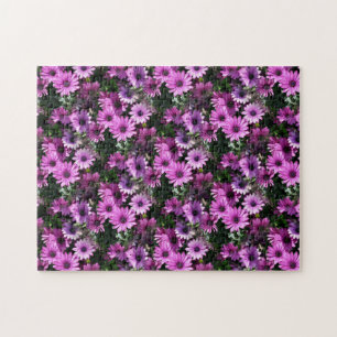 Purple African Daisy Flowers Nature Puzzle