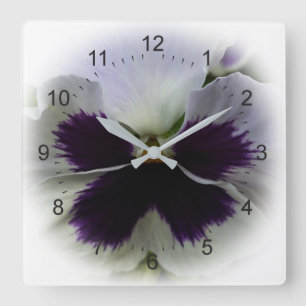 Purple and white pansy quadratische wanduhr