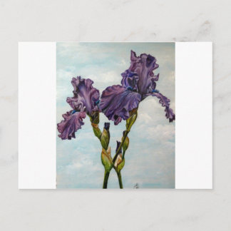 Purple bearded iris flowers postkarte