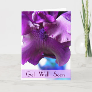Purple Bearded Iris Get Well Soon Card Karte