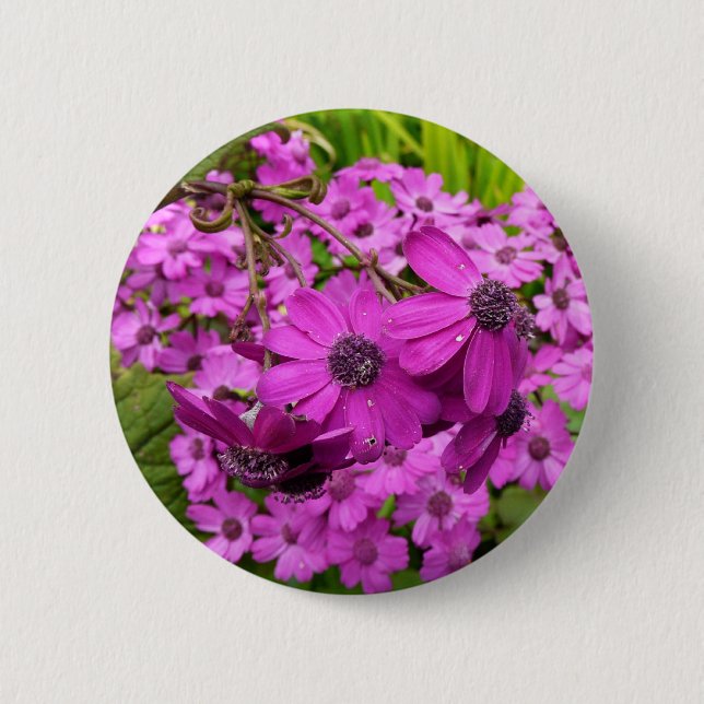 Purple Blumen aus San Francisco Button (Vorderseite)