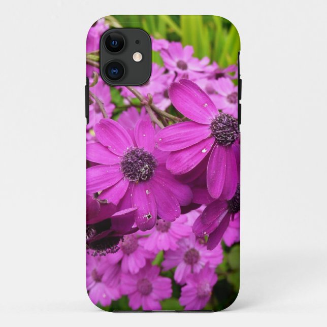 Purple Blumen aus San Francisco Case-Mate iPhone Hülle (Rückseite)