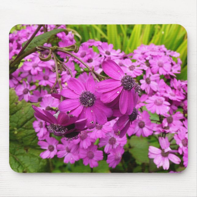 Purple Blumen aus San Francisco Mousepad (Vorne)
