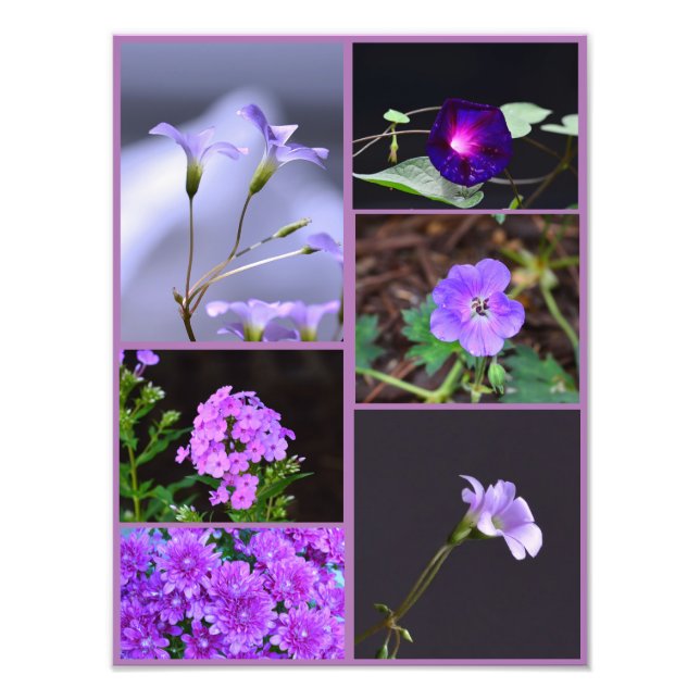 Purple Blumen Foto Collage (Vorne)