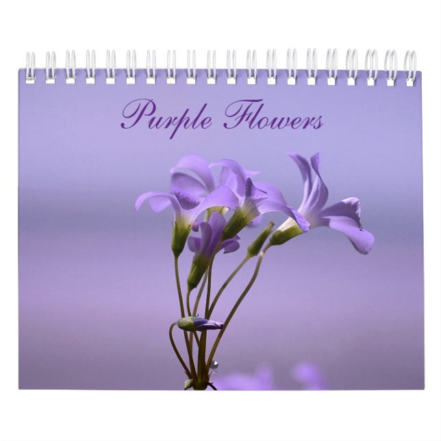 Purple Blumen Kalender (Titelbild)