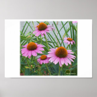 Purple Blumen Poster