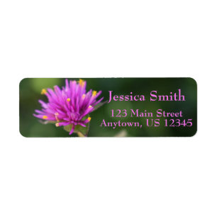 Purple Blumen Sommernaturfotografie