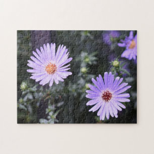 Purple Blumen Sommernaturfotografie Puzzle
