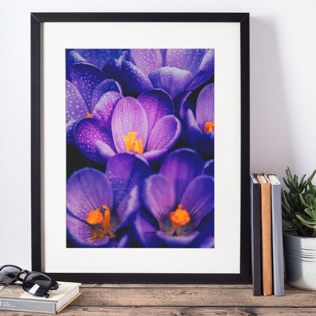 Purple Blumen Wall Art | Lila Lotus - Blume Poster (Von Creator hochgeladen)