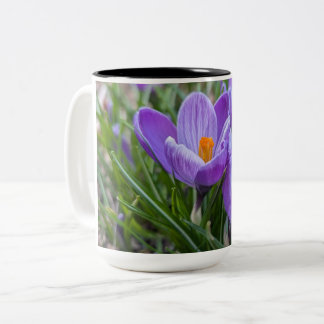 Purple Crocus Flower Zweifarbige Tasse