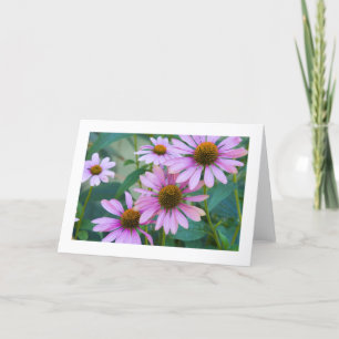 Purple Daisies # 248 Karte