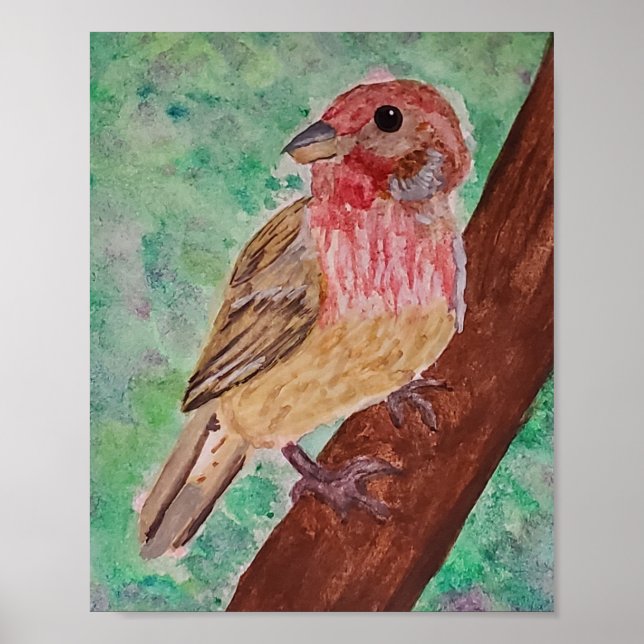 Purple Finch  Poster (Vorne)