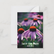 Purple Flowers bei RHS Wisley Save the Date