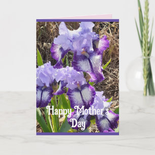 Purple Flowers Floral Iris Irises Mütter Day Card Karte
