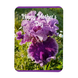 Purple Flowers Floral Iris Irises Mütter Day Card Magnet