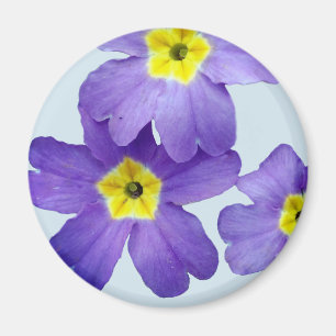 Purple Flowers Foto Magnet