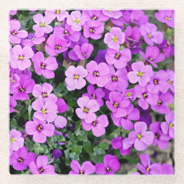 Purple Flowers Garden Glasuntersetzer (Vorderseite)