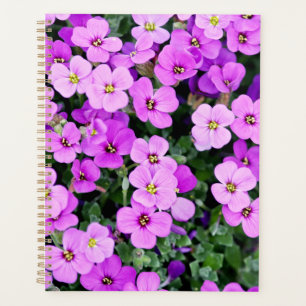 Purple Flowers Garden Planer