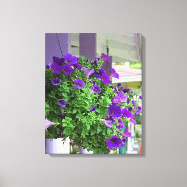 Purple Flowers - Martha's Vineyard Leinwanddruck (Vorderseite)