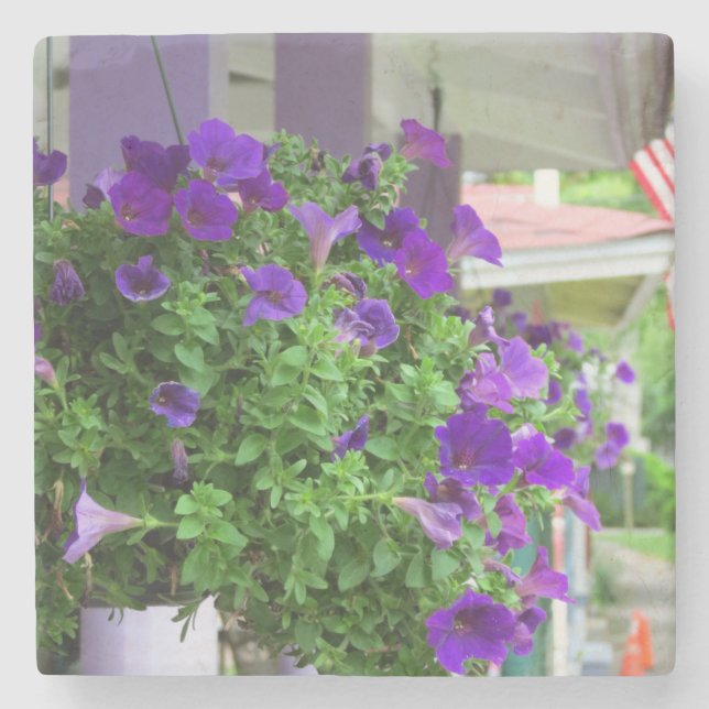 Purple Flowers - Martha's Vineyard Steinuntersetzer (Vorderseite)