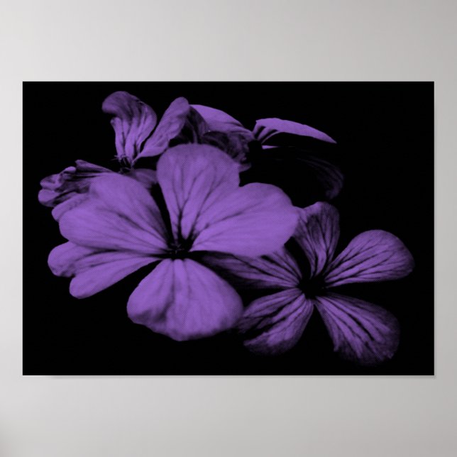 Purple Flowers Print Poster (Vorne)