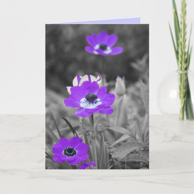 Purple Flowers Sympathie Card Karte (Vorderseite)