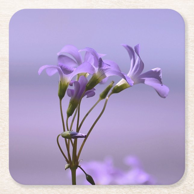 Purple Flowers Untersetzer (Vorderseite)