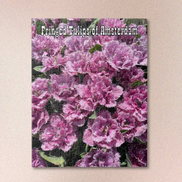 Purple Fringed Tulips of Amsterdam Jigsaw Puzzle