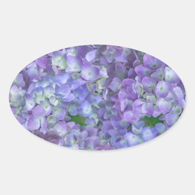 Purple hydrangea flowers ovaler aufkleber (Vorderseite)