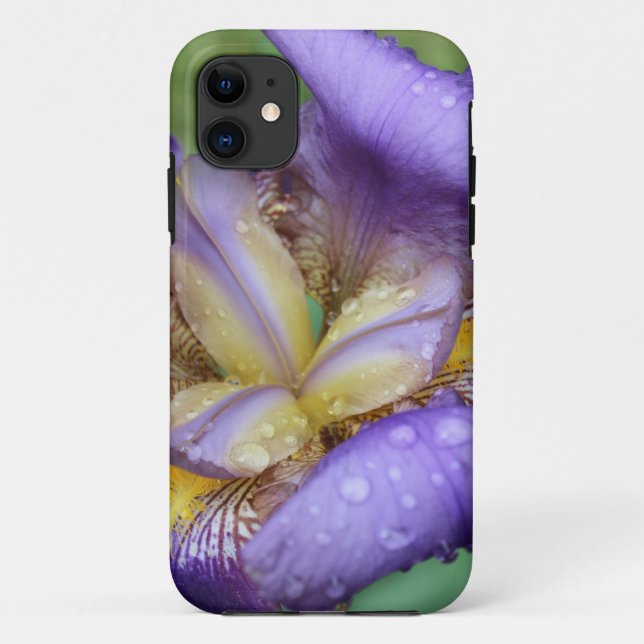 Purple Iris (Iris Germanica) Case-Mate iPhone Hülle (Rückseite)