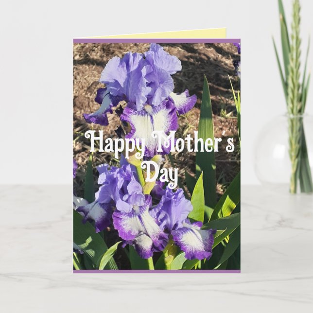 Purple Iris Irises Flower floral Mothers Day Card Karte (Vorderseite)