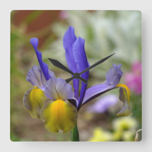Purple Iris Wall Clock Quadratische Wanduhr