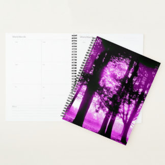 Purple Light with Silhouette Trees  Planer