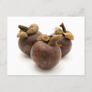 Purple Mangosteen Postkarte