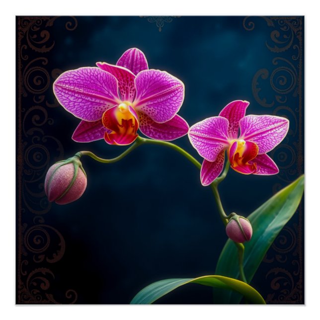 purple orchids poster (Vorderseite)