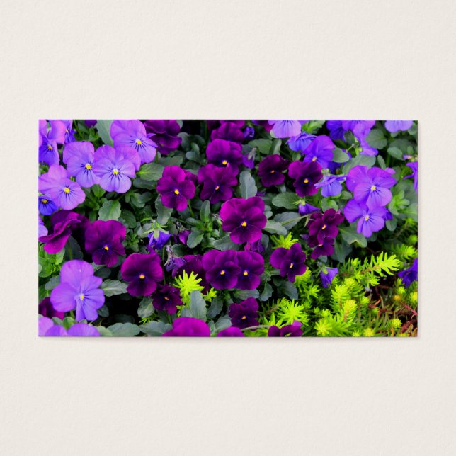 Purple Pansies Note Cards (Vorderseite)
