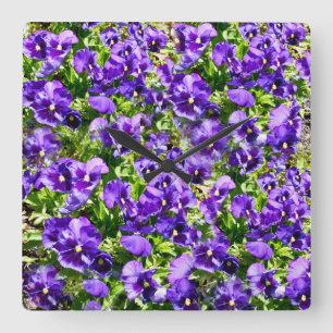 Purple Pansy Field, Quadratische Wanduhr