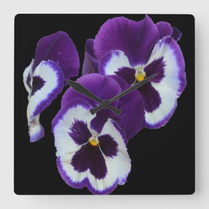 Purple Pansy Portrait, Quadratische Wanduhr